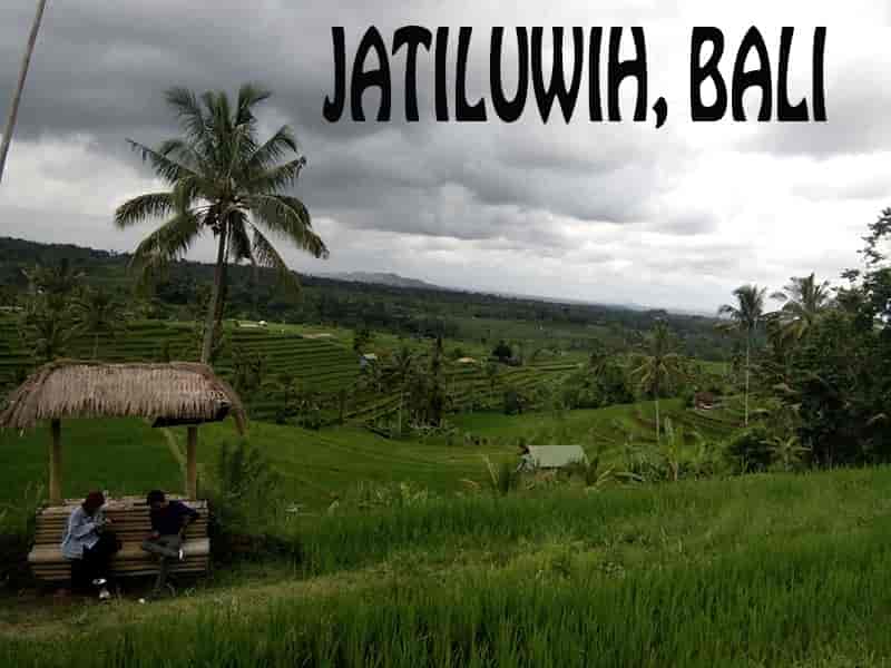 Sawah Jatiluwih - Bali
