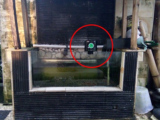 Gambar mesin pakan ikan otomatis